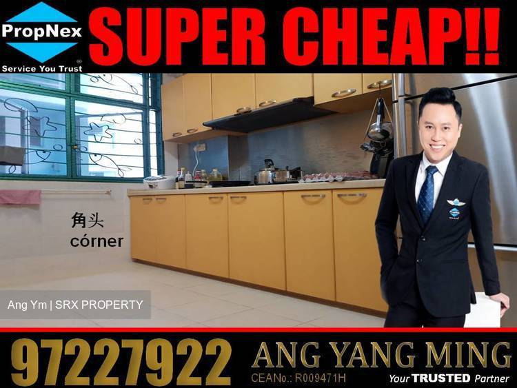 Blk 480 Segar Road (Bukit Panjang), HDB 4 Rooms #177012182